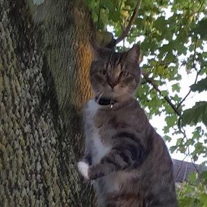 Meet your Posher, Bonnie